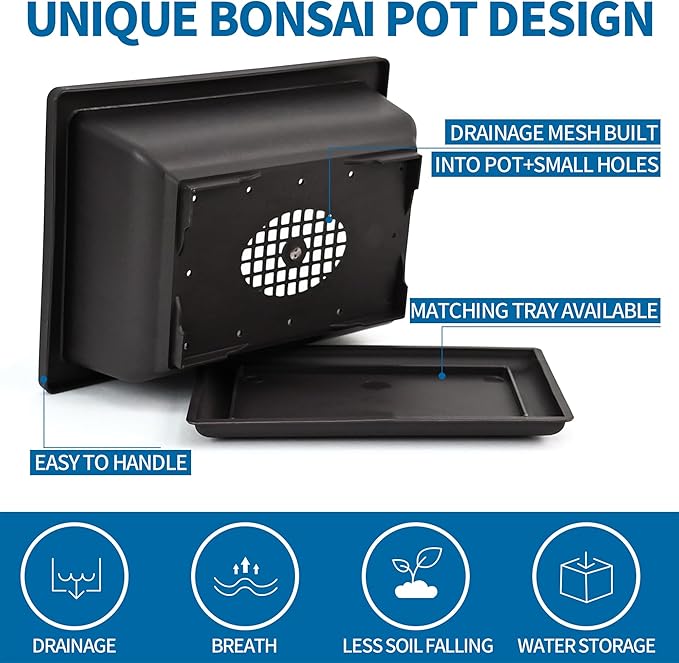 Bonsai Starter Kit, 5 Seeds Growing into Blue Spruce, Chinese Boxwood, Dawn Redwood, Flame Tree and Judas Tree, Including Complete Gardening Tools with A Gift Box, Christmas Gifts for Women