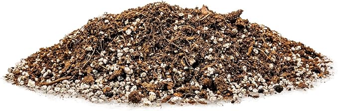 Professional Carnivorous Plant Soil - Ready to Use for Venus Flytraps, Sundews, Pitcher Plants, Butterworts | Peat Moss, Coco Coir, Perlite - 2 Quart Bag