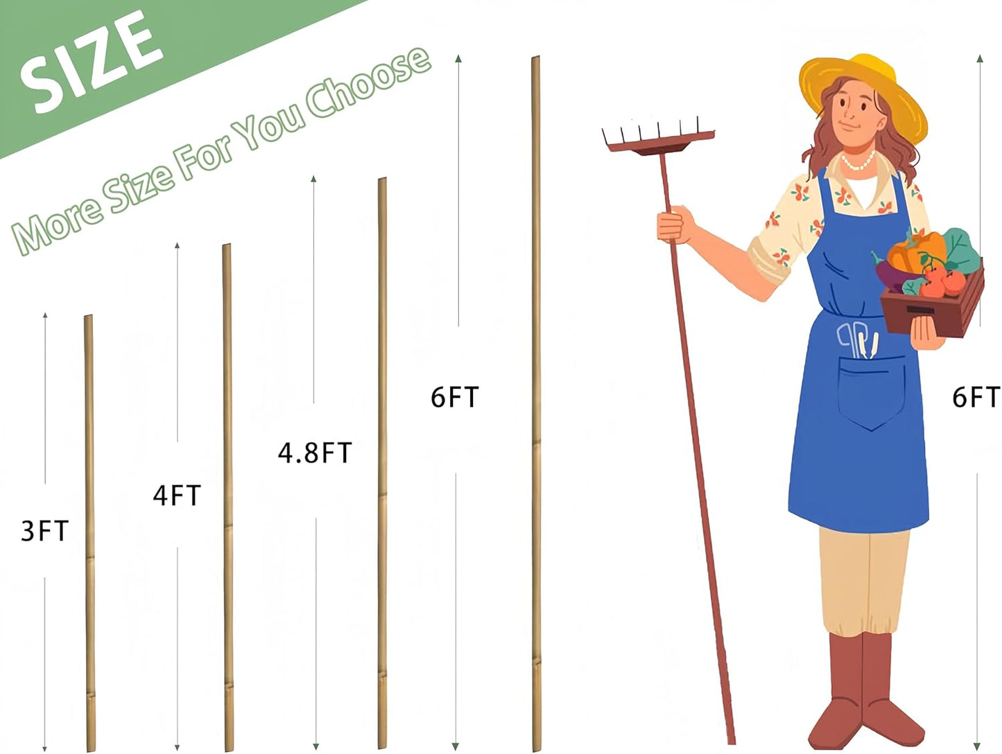 Plant Bamboo Post,6Feet,Bamboo Garden Stakes,50PcsBamboo Stakes,for Tomato,Beans,Vegetable and Flowers, Potted Plants,Indoor and Outdoor Climbing Plants