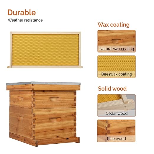 VINGLI 10 Frames Beehive, Complete Beehive Kit Includes 1 Deep Boxes, 1 Medium Box, Frames and Waxed Foundations, for Yard, Field, Bee Farm (2 Layer)