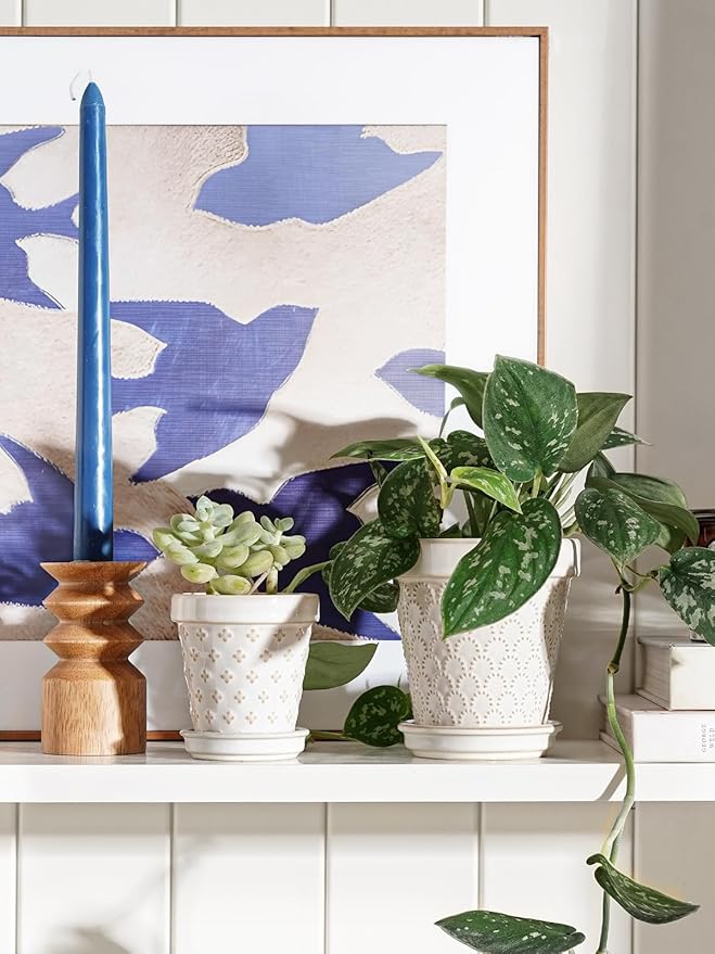 LE TAUCI Succulent Pots, Cute Indoor Plant Pot with Saucer, 3 Inch Mini Ceramic Flower Pots with Drainage, for Plant Lover or Mothers Day,Housewarming, Decorative Lovely Planter for Cactus,Set of 4