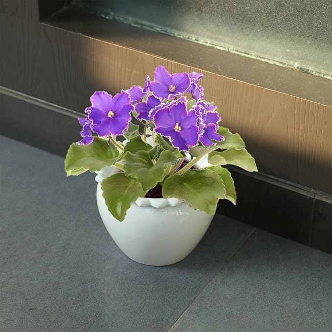 Self Watering Plant Pot African Violet Pots Ceramic 6.5 * 4.6 * 4 inch White for Indoor Flowers and Plants Simple Plant Self Watering Pot Modern Decor Pots Efficient Absorption Water