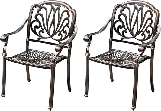 Outdoor Dining Chair Cast Aluminum Patio Chairs Set of 2 All-Weather Patio Dining Chair with Adjustable Feet for Backyard Garden (YLSB Chair)