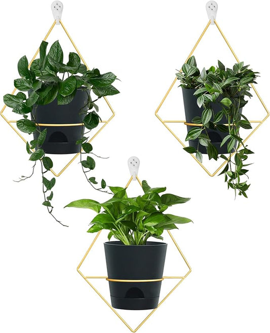 3 Sets of Wall Planters for Indoor Plants, Hanging Wall Planter with Gold Metal Holder, Geometric Self Watering Wall Flower Pots, Wall Mounted Succulent Planter, 5" Black Plant Pot