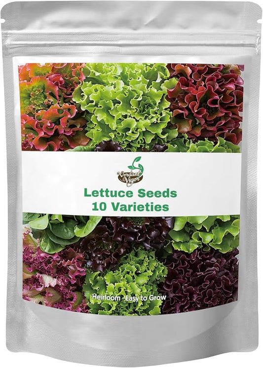 20,000+ Lettuce Seeds, Heirloom Vegetable Seed for Planting Indoor Outdoor, 10 Varieties Fresh Lettuce Salad Seeds Garden Hydroponics Kit - Romaine, Iceberg, Boston, Bibb and More, Non-GMO