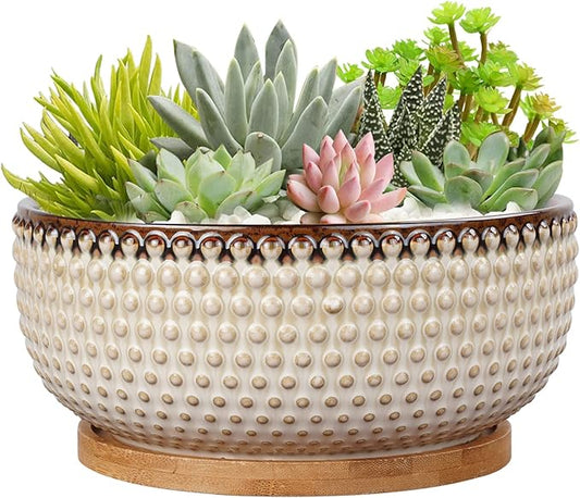 8 Inch Ceramic Succulent Shallow Planter Pot with Drainage Hole and Saucer Bonsai Planter for Indoor Plants White