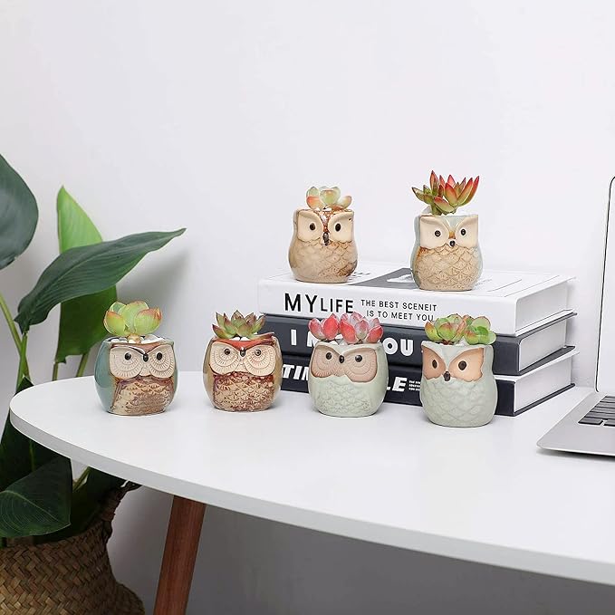 T4U 2.5 Inch Owl Ceramic Succulent Planter Pots with Drainage Hole Set of 12, Small Cactus Pots Cute Plant Holder Container Best for Home Office Decor Gardening Gift