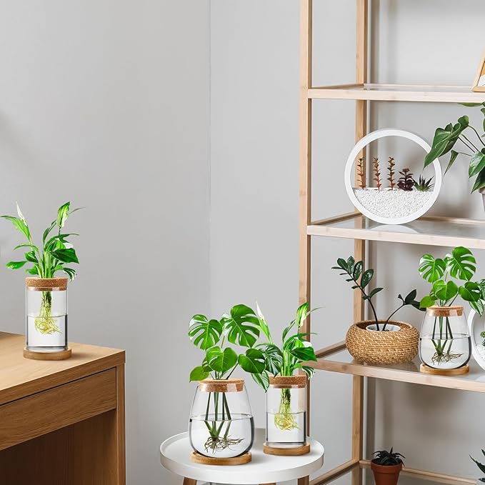 Layhit 4 Pcs Plants Propagation Stations Separated Desktop Plant Terrarium Glass Planter Vase with Wooden Lid and Bamboo Stand for Growing Hydroponic Home Office Tabletop Decoration (Classic Style)