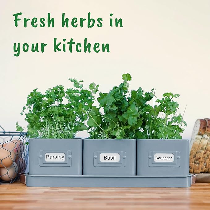 Herb Planter Indoor - Set of 3 Teal Blue Indoor Herb Garden Pots for Plants with Leather Handled Tray - Window Sill Plant Shelf - Herb Pots with Drainage Holes and Labels