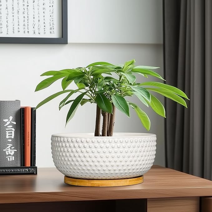 Succulent Pots 8 Inch - Ceramic Bonsai Planters for Indoor Plants, Plant Pot with Drainage Hole and Saucer, Shallow Round Flower Planter, Modern Room Decor, Gifts for Plant Lover, White