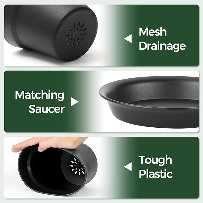 T4U 7.5 Inch Plant Pots 12-Pack - Small Plastic Planter with Drainage Hole and Saucer, Decorative Nursery Pot Bulk for African Violet, Snake Plant, Succulent and All House Plants Indoor (Black)
