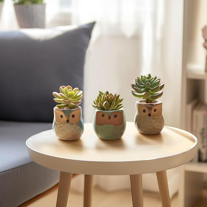 T4U 2.5 Inch Owl Ceramic Succulent Planter Pots with Drainage Hole Set of 12, Small Cactus Pots Cute Plant Holder Container Best for Home Office Decor Gardening Gift