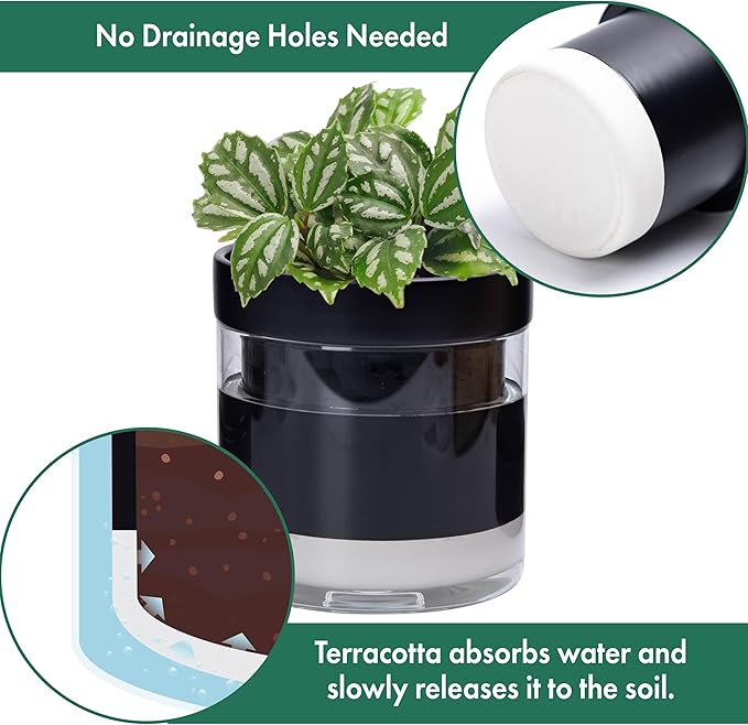 Phoenix Vine 6 Inch Self Watering Planter Pot, Black Terracotta Clay Pot with Glass Reservoir for Indoor Plants, Herbs, Flowers, Set of 2, 52-C-F-2