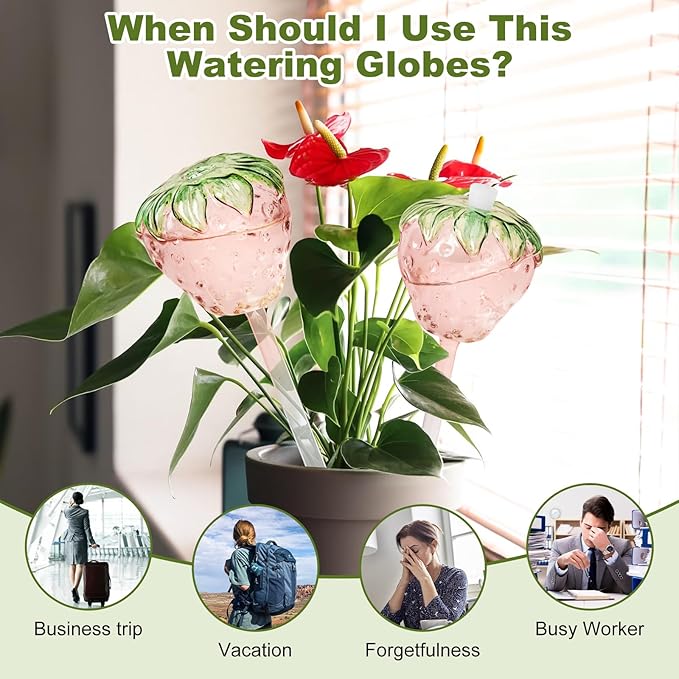 3 Packs Strawberry Plant Watering Globes, Large Water Globes for Indoor Plants, Glass Self Watering Planter Insert, Top-Fill Watering Bulbs for Indoor Outdoor Plants