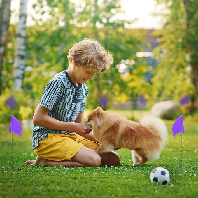 Zozen 100Pack Purple Marking Flags, Writable | 15x4x5 Inch, Yard Flags for Lawn & Irrigation & Landscape & Sprinkler & Survey & Dog Training.