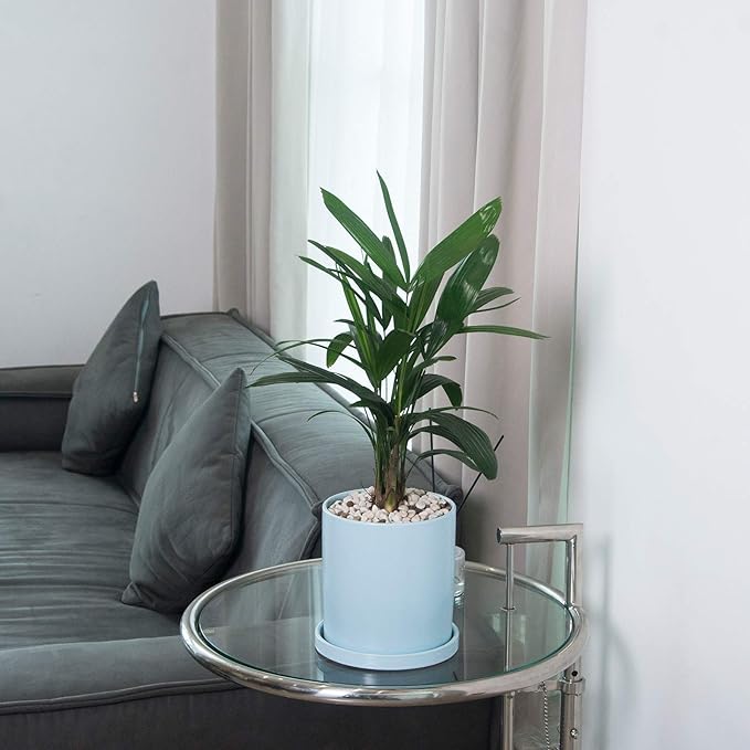 Planters for Indoor Plants Ceramic Flower Succulent Plant Pots with Drain Hole Saucer Decor for Home Office (4 inch Blue)