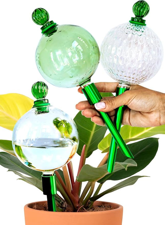 16 Oz Plant Watering Globes For Indoor Plants With Metal Self Watering Planter Insert - Premium XL Glass Hand-blown Globes - Automatic Indoor Planter Waterer, Gift Idea For Gardeners [3 PCS]