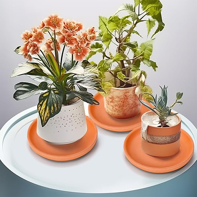 Suwimut 10 Pack Terracotta Pot Plant Saucer, 6 Inch Round Plant Pot Saucers for 5 Inch 5.5 Inch 6 Inch Flower Pot with Drainage Hole, Clay Plant Pot Drip Trays for Indoor, Outdoor Plants
