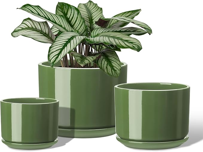 EFISPSS Ceramic Plant Pots, 4+5+6 Inch Pots for Indoor Plants, Planter Pot with Drainage Hole,Flower Pots for Succulent Cactus,Set of 3 - Patina