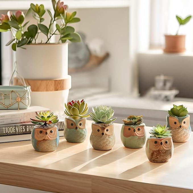 T4U 2.5 Inch Owl Ceramic Succulent Planter Pots with Drainage Hole Set of 12, Small Cactus Pots Cute Plant Holder Container Best for Home Office Decor Gardening Gift