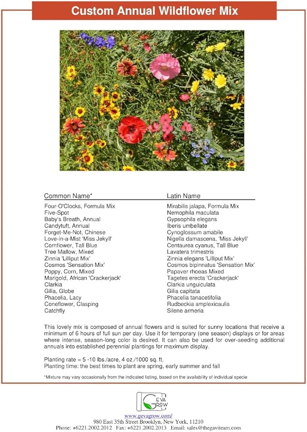 Wildflower Seed Shaker – Annual Mix by GevaGrow | 17 Variety Flower Seeds for Planting in Pots & Outdoor Gardens, Bulk 300,000+ Seeds - 1 Pound Tub