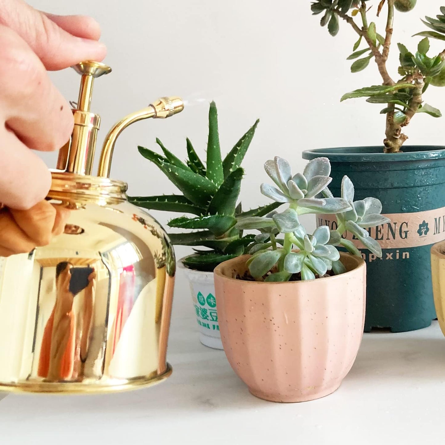 Brass Golden Spray Lianshi can Plant Spay Bottle Inner Flower Spray Mister 300ml/10.56 oz 1pcs/Lot