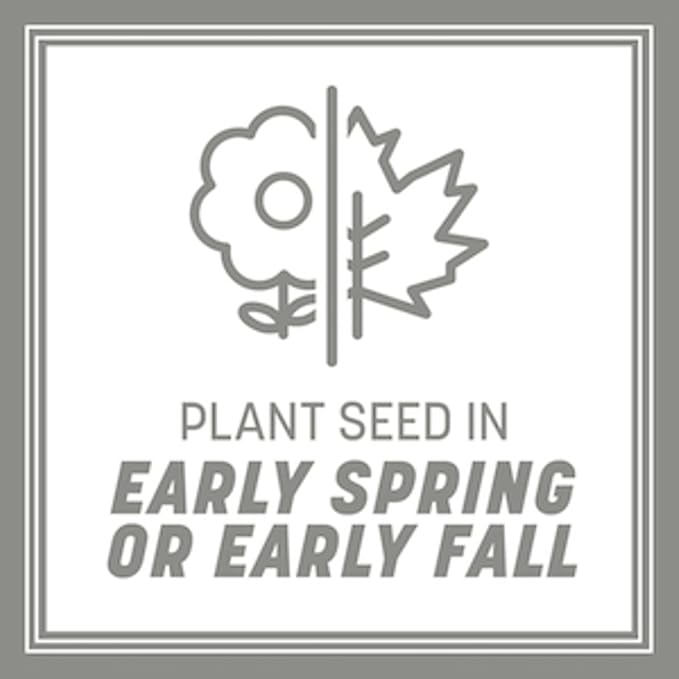 Pennington Contractors Grass Seed Mix Central 20 lb