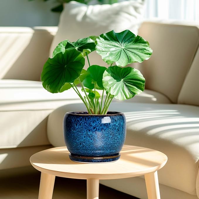 SQOWL Ceramic Planter 8 Inch - Pot for Indoor Outdoor Plants Round Ceramic Plant Pot with Drainage Hole and Saucer Modern Flower Pot Glazed Blue