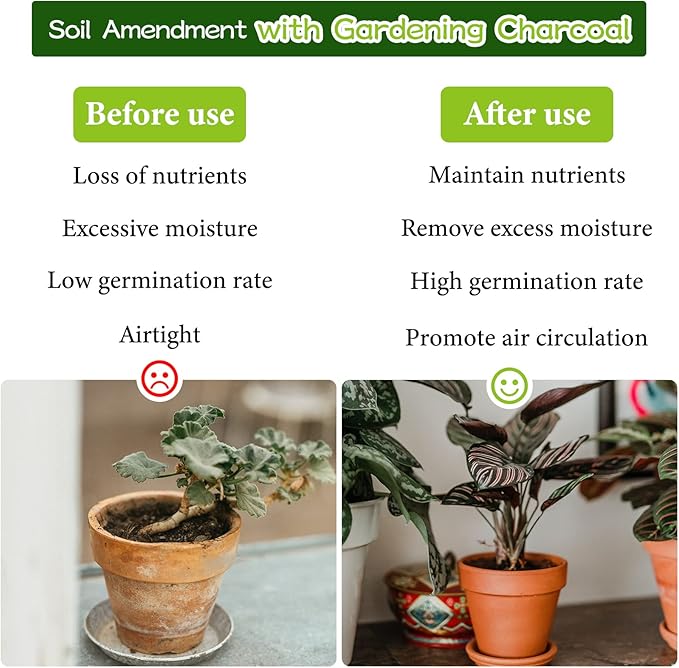 Legigo 8QT All Natural Horticultural Charcoal- Activated Hardwood Plant Charcoal for Soil Amendment, Conditioning Bonsai Soil, Succulent Soil, Terrarium Supplies, Indoor Plant Potting Soil