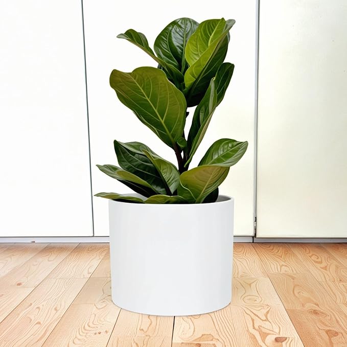 Fox & Fern 14.6 Inch Extra Large Planter — Premium Lightweight Fiberstone Matte White Plant Pot with Drainage Plug; Big Planter for Indoor & Outdoor Use; Weather Resistant & UV Resistant