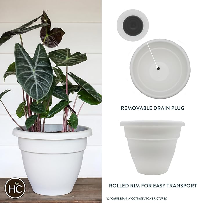 The HC Companies 16 Inch Caribbean Planter - Lightweight Indoor Outdoor Plastic Plant Pot for Herbs and Flowers, White