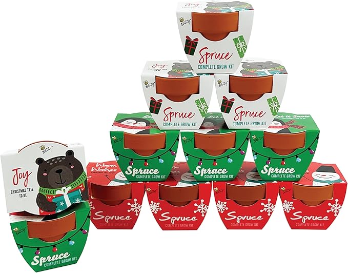 Buzzy Seeds Holiday Festive Friends Terracotta Mini Grow Pots | Assorted Spruce 12-Pack Bear, Penquin, Snowman | Tree Starter Kit for Kids & Adults | Guaranteed to Grow | Stocking Stuffers, Gifts