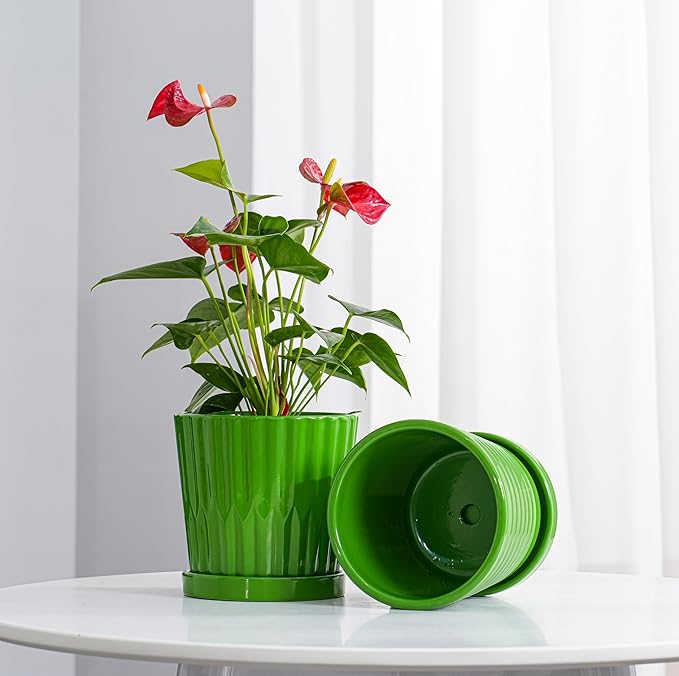 Ton Sin Plant Pots, 6 Inch Flower Pots for Plants,Ceramic Planter with Drainage Holes,Indoor Planter Pots with Saucer,Outdoor Garden Pots (Green, 4 Pack)