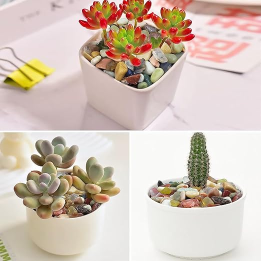 2LB Colorful Pebbles for Succulent, 3/8 Inch Natural River Rocks for Plants, Natural Decorative Polished Pebbles for Cactus,Vases, Planters,Outdoor Gardening and Indoor Plants