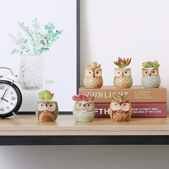 T4U 2.5 Inch Owl Ceramic Succulent Planter Pots with Drainage Hole Set of 6, Small Cute Flower Pots Plant Holder Container Best for Home Office Garden Decoration Owl Gift Ideas
