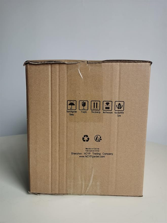 NCYP Small Glass Geometric Terrarium - 4.9 x 3.9 x 7.4 Inches Irregular Clear Planter Pot for Succulents, Cactus, Indoor Garden Tabletop Decoration, Centerpiece (No Plants, No Door)