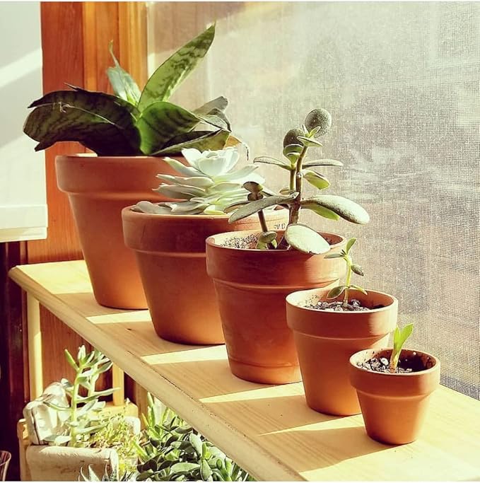 OLEEP Clay Pot - 2 Pack Large Terra Cotta Plant Pot with with Sauce,Drainage Hole, Clay Planters Pot, Terracotta Pot for Indoor Outdoor Plant (7.8 inch)