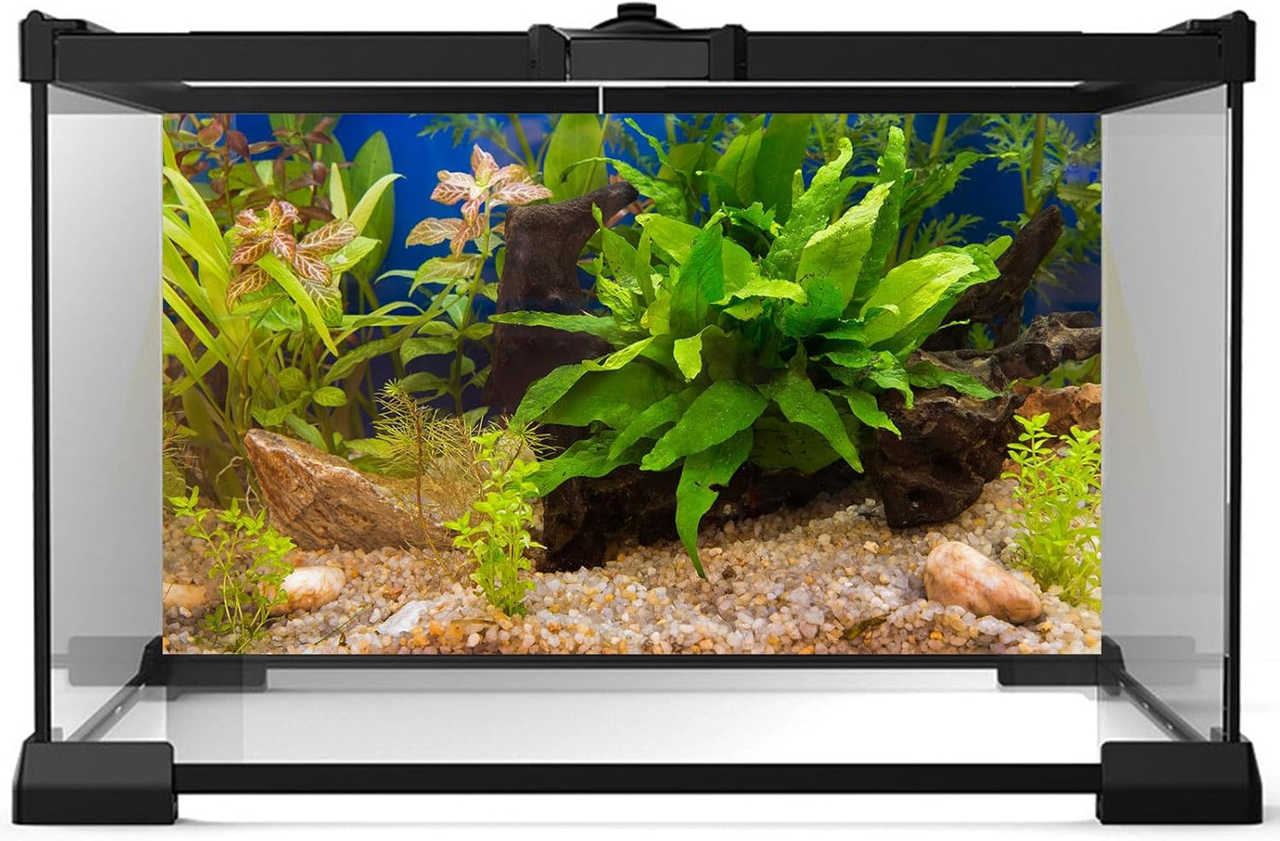 Aquarium Backdrop Underwater Grass Leaves Pebble Aquarium Background Vivid and Fresh Green Aquatic Plant Stone River Bed Fish Dead Wood Leaves Tank Background Decors Vinyl 24x12in