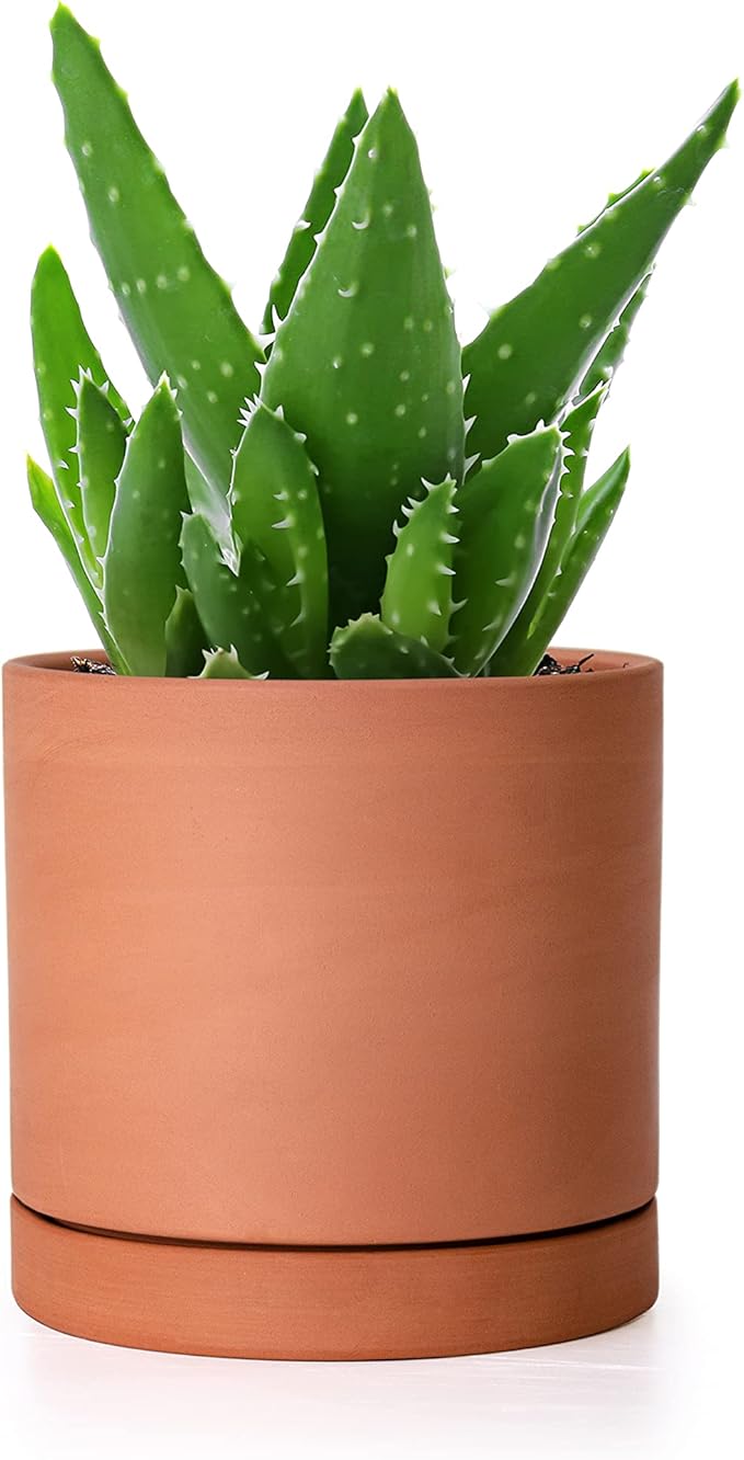 D'vine Dev X-Small 4 Inch Terracotta Plant Pot with Drainage Hole and Saucer, Round Cylinder Planter Pot for Indoor Plants, 40-X-A-1