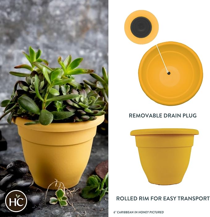 The HC Companies 6 Inch Caribbean Planter - Lightweight Indoor Outdoor Plastic Plant Pot for Herbs and Flowers, Honey