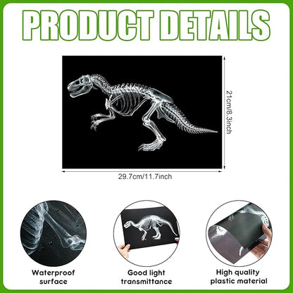 Chunful 20 Pcs Animal X-Ray Kit Wildlife X-Ray Flash Cards Educational Science Kit Light Table Toys Accessory, 11.7" x 8.3'' (Dinosaurs)