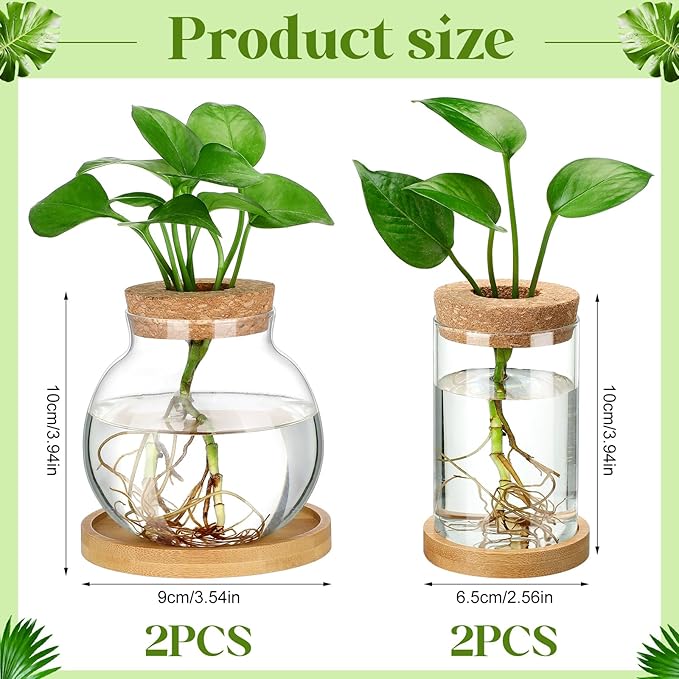 Layhit 4 Pcs Plants Propagation Stations Separated Desktop Plant Terrarium Glass Planter Vase with Wooden Lid and Bamboo Stand for Growing Hydroponic Home Office Tabletop Decoration (Funny Style)
