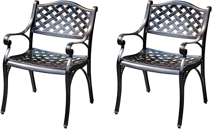 Outdoor Dining Chair Cast Aluminum Patio Chairs Set of 2 All-Weather Patio Dining Chair with Adjustable Feet for Backyard Garden (Die-Casting A Chair)