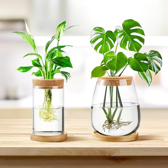 Layhit 4 Pcs Plants Propagation Stations Separated Desktop Plant Terrarium Glass Planter Vase with Wooden Lid and Bamboo Stand for Growing Hydroponic Home Office Tabletop Decoration (Classic Style)