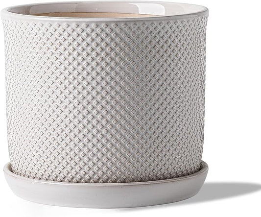 8 Inch Plant Pot: Ceramic Planter with Drainage Hole & Saucer Indoor Outdoor Plants - Flowerpot with Bonded Tray for Home Office - Beaded Embossed Style, Cream White