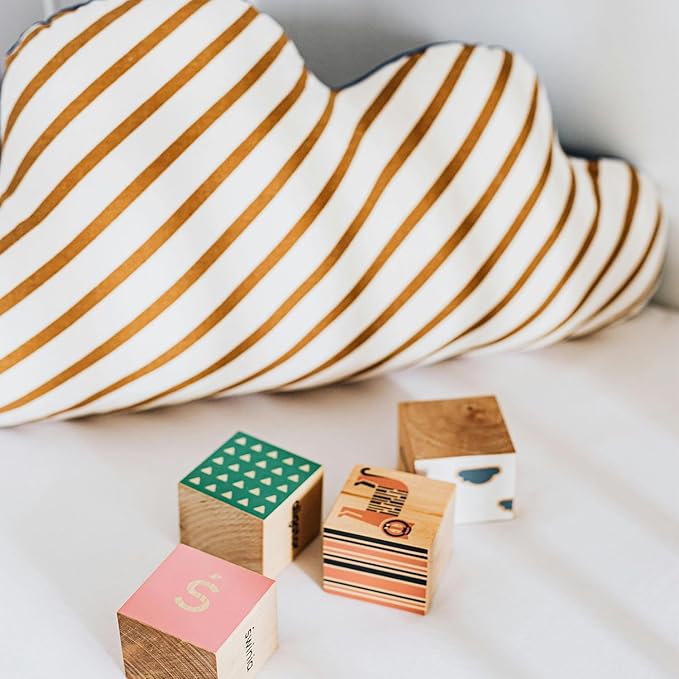 6 Pcs 2 Inch Wood Cubes, Unfinished Natural Wood Square Blocks for Arts and Crafts