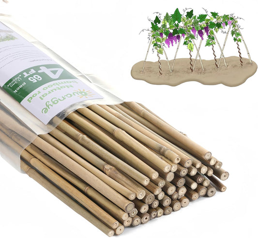 Plant Bamboo Post,4Feet,Bamboo Garden Stakes,65PcsBamboo Stakes,for Tomato,Beans,Vegetable and Flowers, Potted Plants,Indoor and Outdoor Climbing Plants