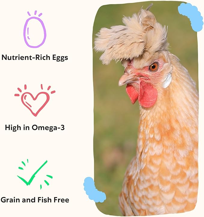 Grubbly Farms Omega Mix Chicken Treats for Laying Hens - Superfood and Omega-Rich Chicken Feed Supplement to Support Egg Production, Strong Eggshells and Nutritious Yolks - 1LB