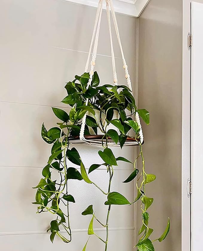 2 Pack Macrame Plant Hanger | Plant Hanger Indoor, Hanging Planter Shelf | Hanging Planter (Beige) (1 Large + 1 Medium)