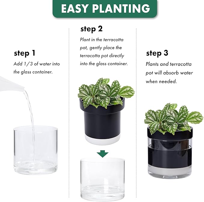 Phoenix Vine 6 Inch Self Watering Planter Pot, Black Terracotta Clay Pot with Glass Reservoir for Indoor Plants, Herbs, Flowers, Set of 2, 52-C-F-2